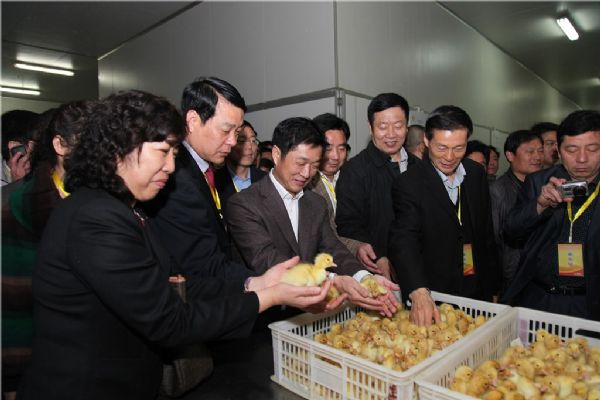 协会会长座谈会暨华英集团项目观摩会在潢川县召开